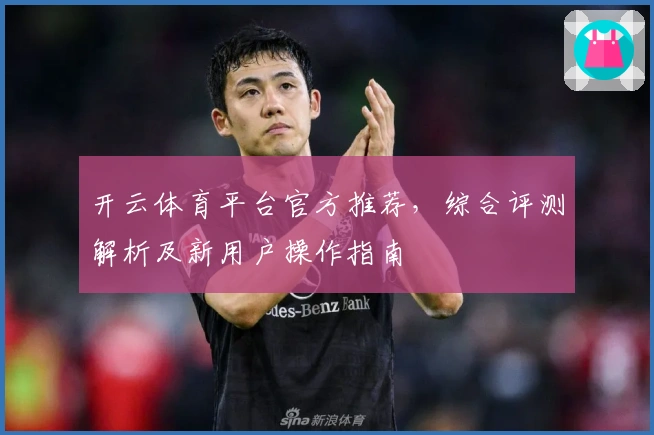 开云体育平台官方推荐，综合评测解析及新用户操作指南