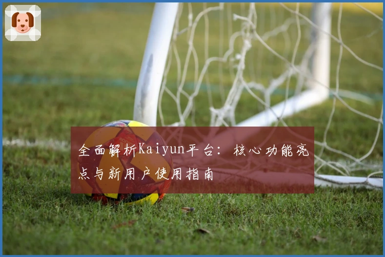 全面解析Kaiyun平台：核心功能亮点与新用户使用指南