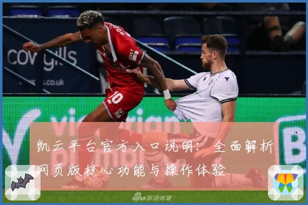 凯云平台官方入口说明：全面解析网页版核心功能与操作体验